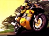 Motorbikes 07